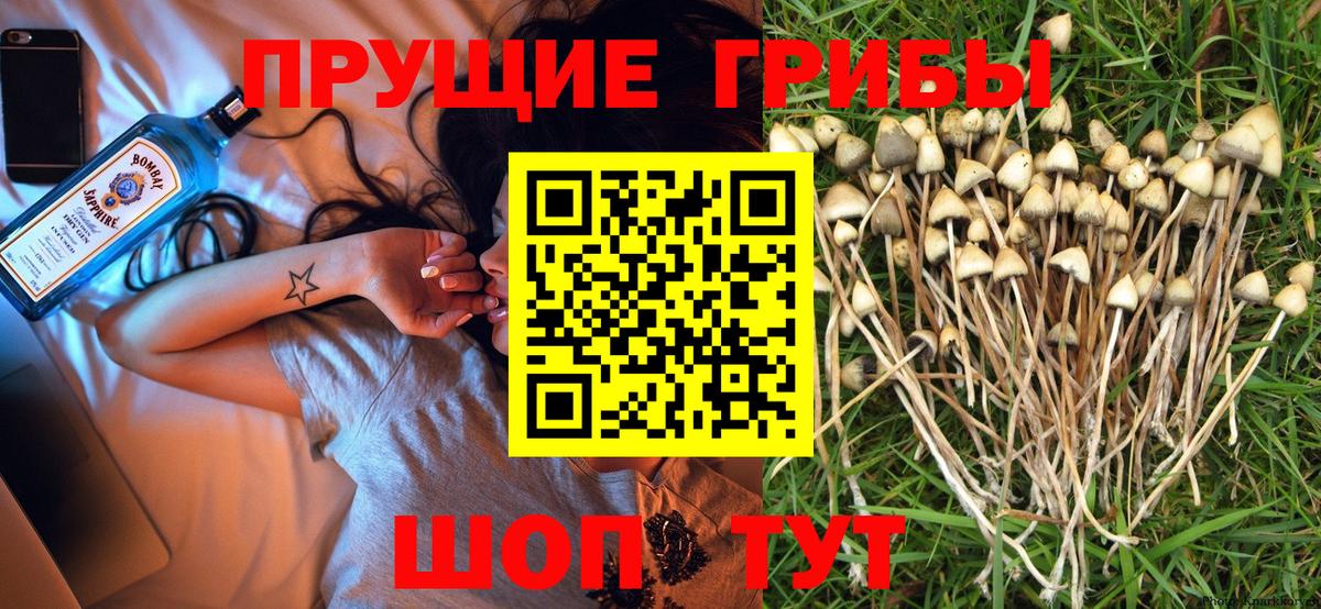 Сочи  Псилоцибиновые грибы Magic Shrooms  Вход с VPN 